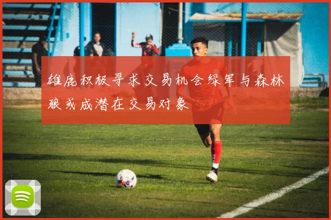 雄鹿积极寻求交易机会绿军与森林狼或成潜在交易对象