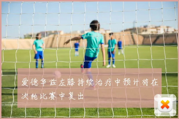 爱德华兹左膝持续治疗中预计将在次轮比赛中复出
